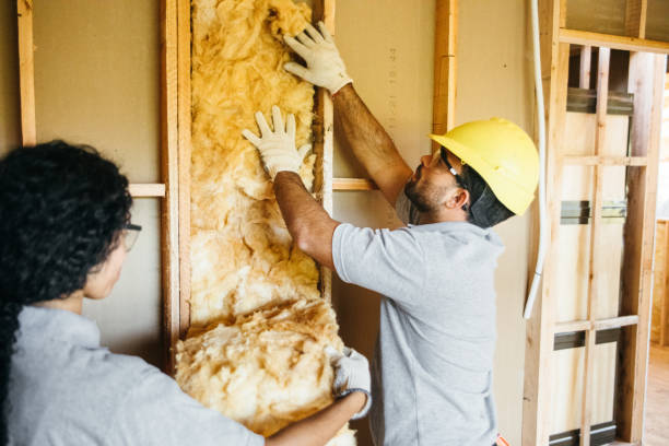 Best Home Insulation Services  in Tonopah, NV